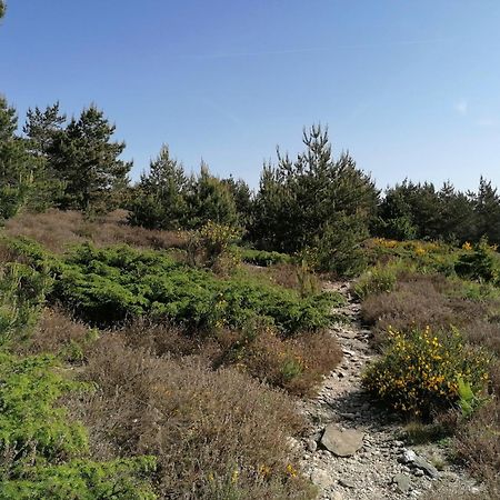 Gite Cote Nature Cabrerolles Exterior photo