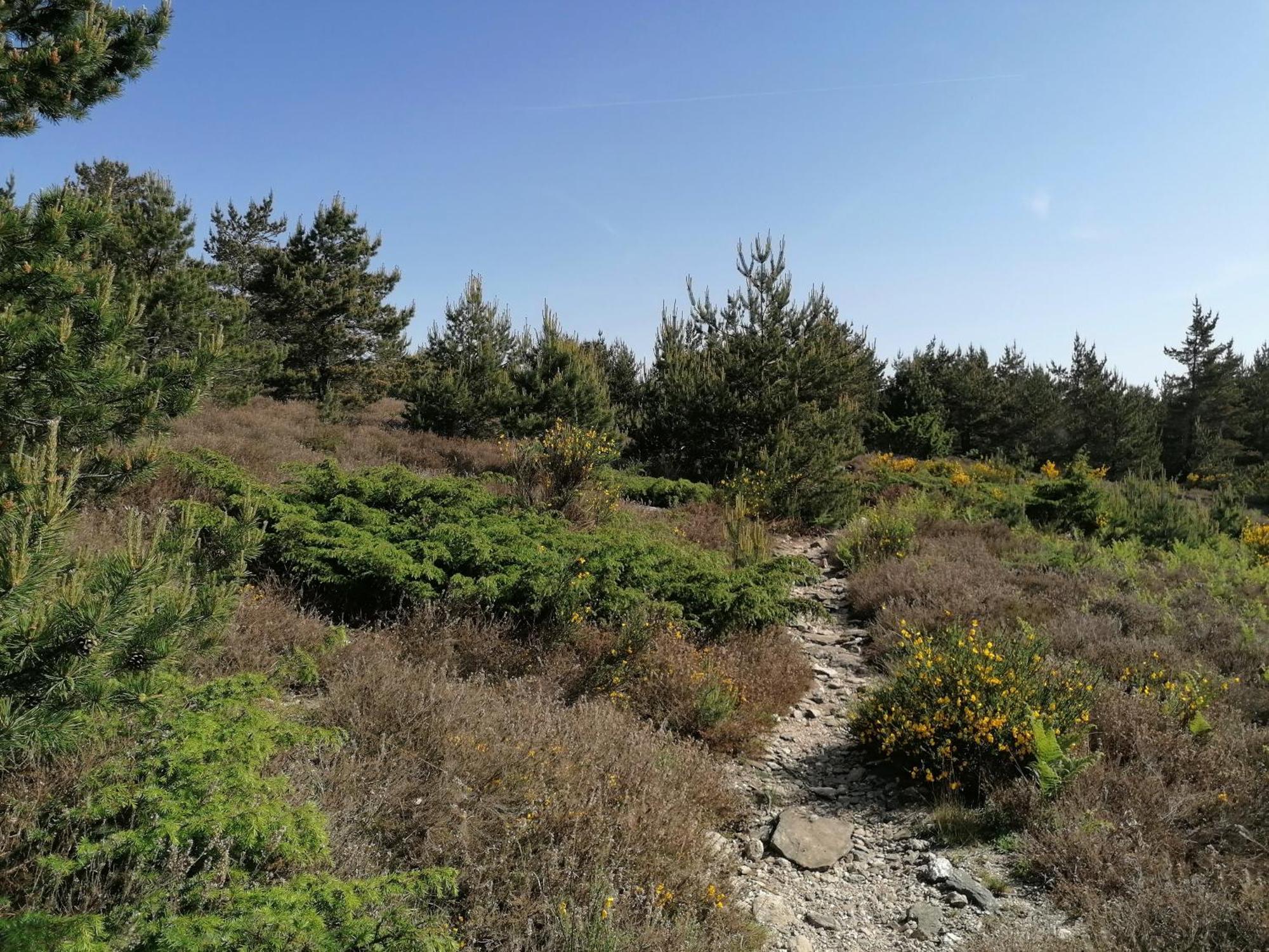 Gite Cote Nature Cabrerolles Exterior photo